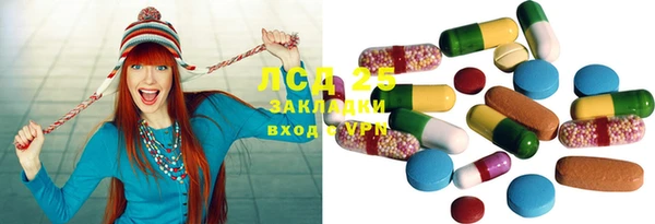 прущие грибы Алексеевка