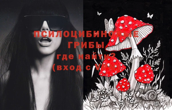 прущие грибы Алексеевка