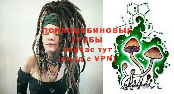 эйфоретик Абинск