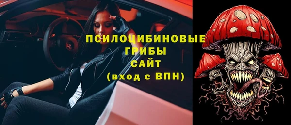 прущие грибы Алексеевка