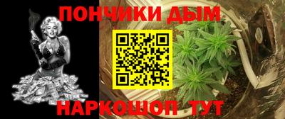 индика Жуковский