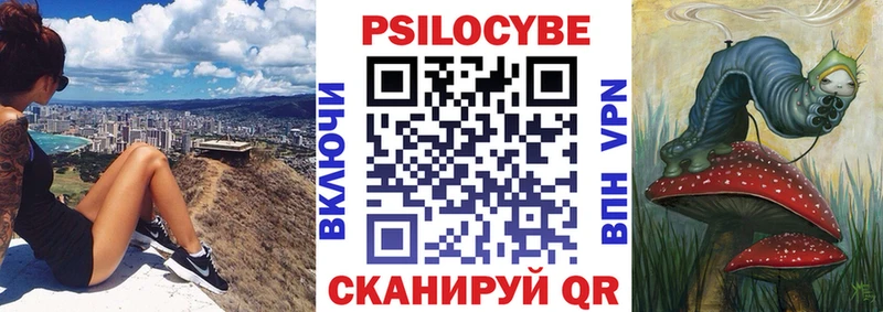 продажа наркотиков  Новокубанск  Галлюциногенные грибы Psilocybe 