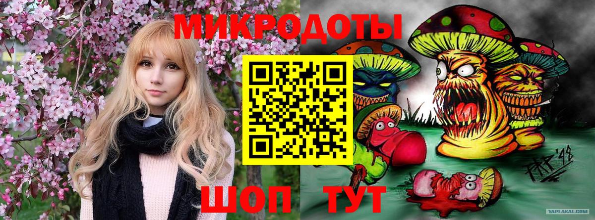 Галлюциногенные грибы MAGIC MUSHROOMS Новокубанск